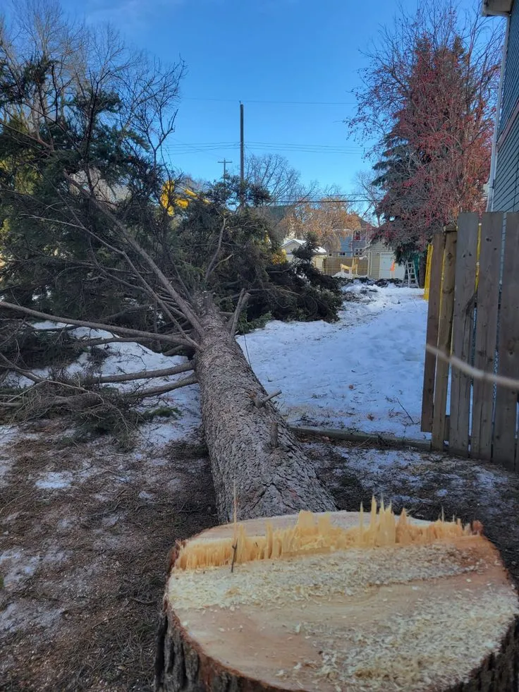 Storm Damage Recovery