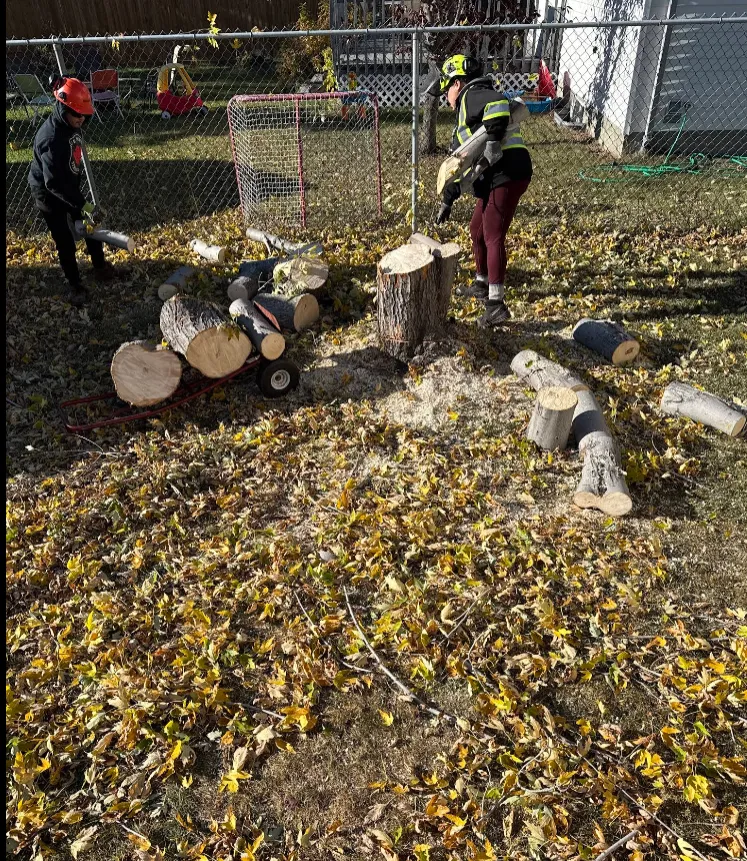 Professional Tree Service